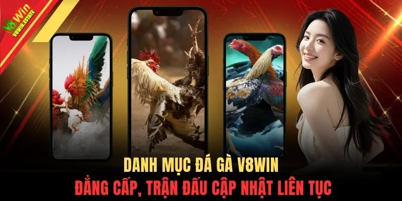 Đá gà V8WIN 1 Danh mục đá gà V8WIN đẳng cấp, trận đấu cập nhật liên tục